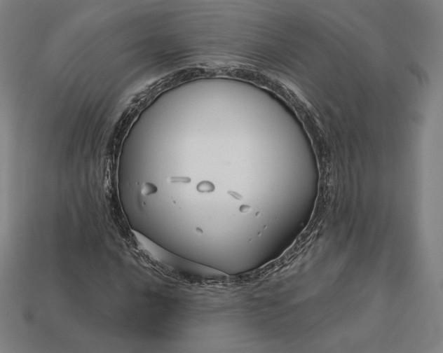 X0000113151016200909181746