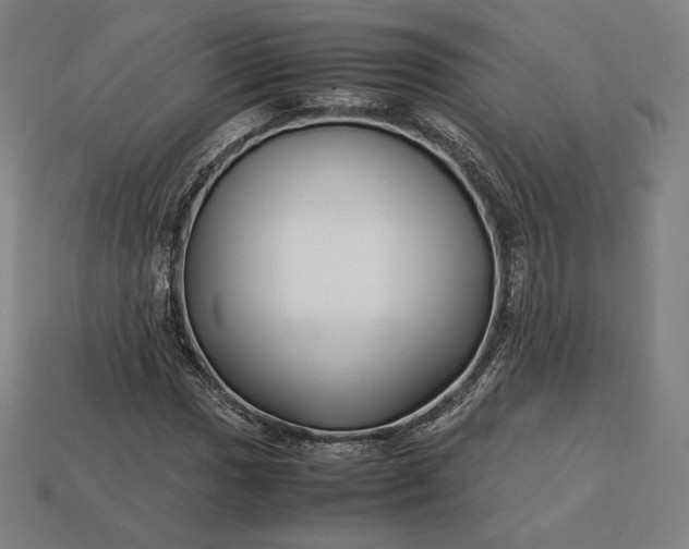 X0000113151017200909181746