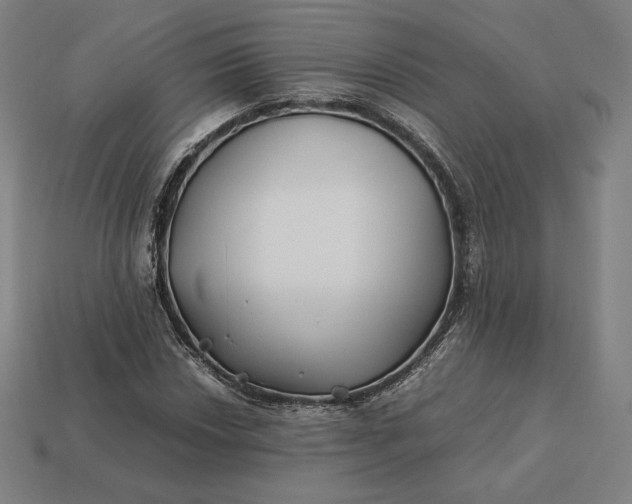 X0000113151018200909181746