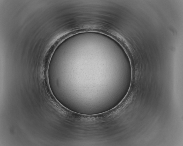 X0000113151019200909181746