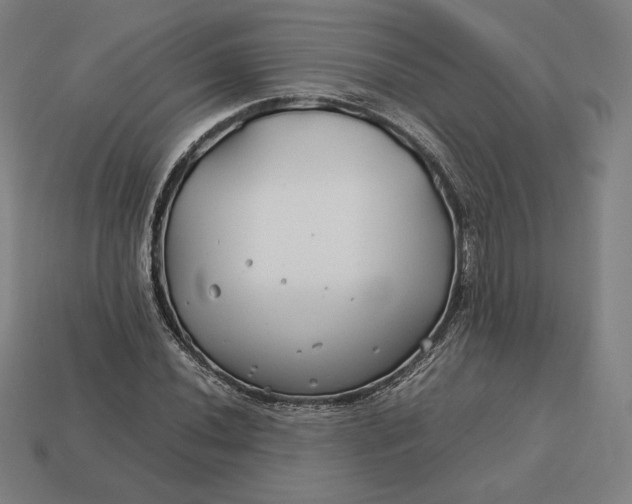 X0000113151020200909181746