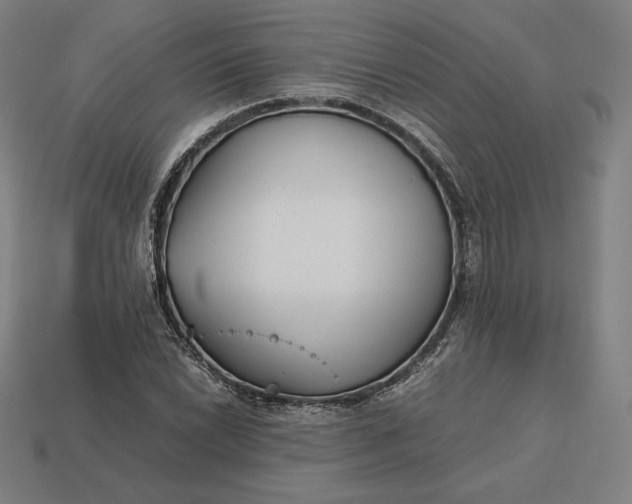 X0000113151022200909181746