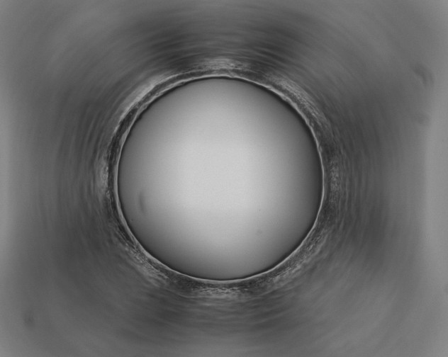 X0000113151023200909181746