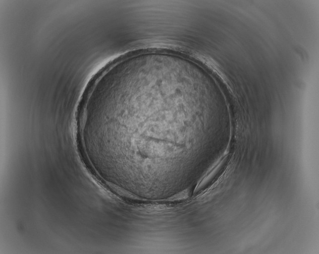 X0000113151024200909181746