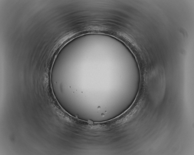 X0000113151025200909181746