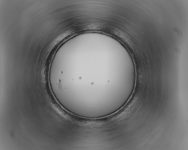 X0000113151026200909181746