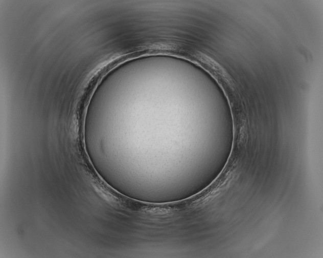 X0000113151027200909181746