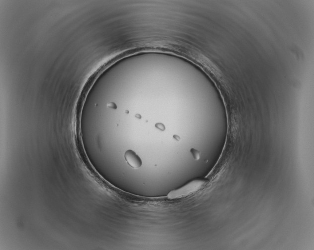 X0000113151028200909181746