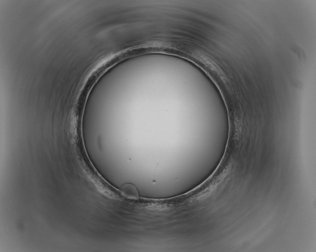 X0000113151029200909181746