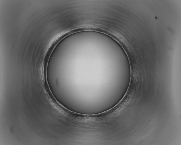 X0000113151030200909181746