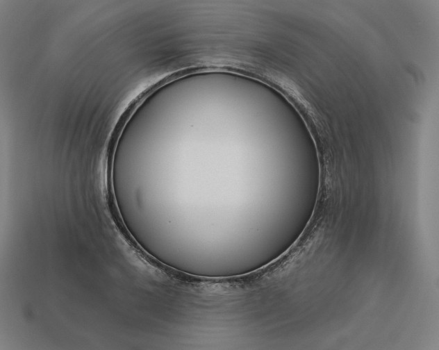 X0000113151032200909181746