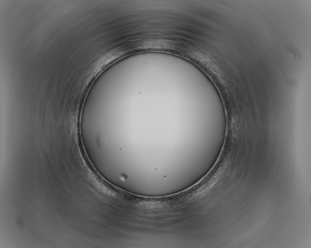 X0000113151033200909181746