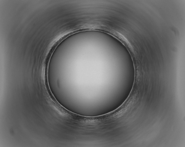 X0000113151035200909181746