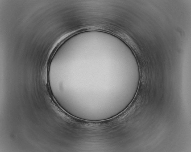 X0000113151036200909181746