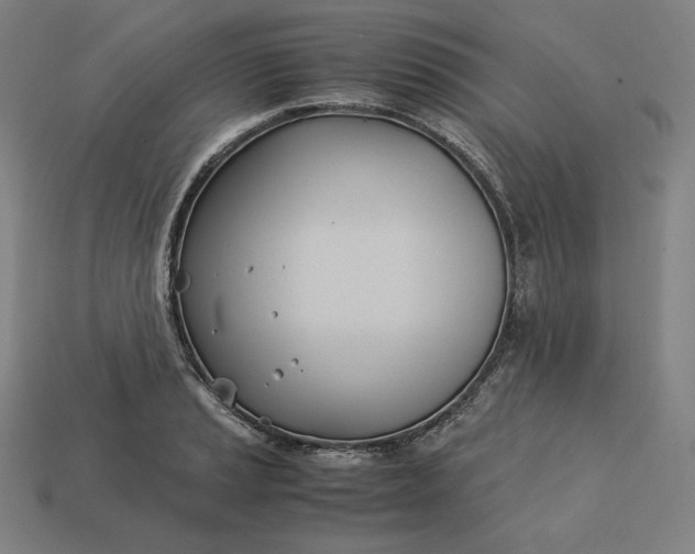 X0000113151037200909181746