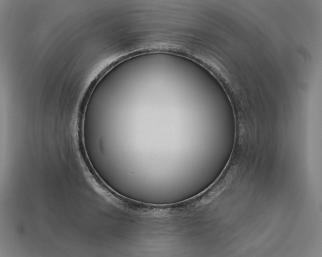 X0000113151038200909181746