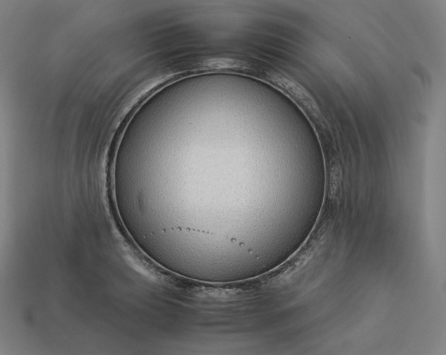 X0000113151039200909181746