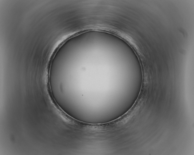 X0000113151040200909181746