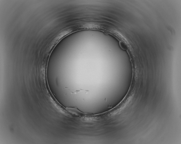 X0000113151041200909181746