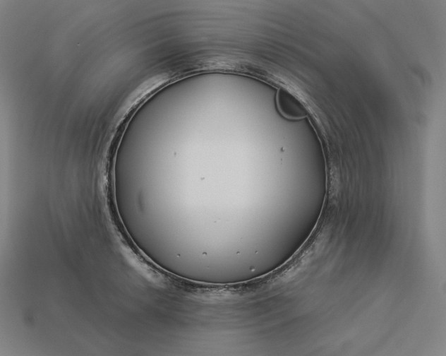 X0000113151042200909181746