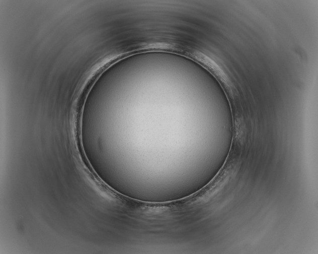 X0000113151043200909181746