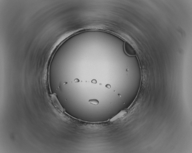 X0000113151044200909181746