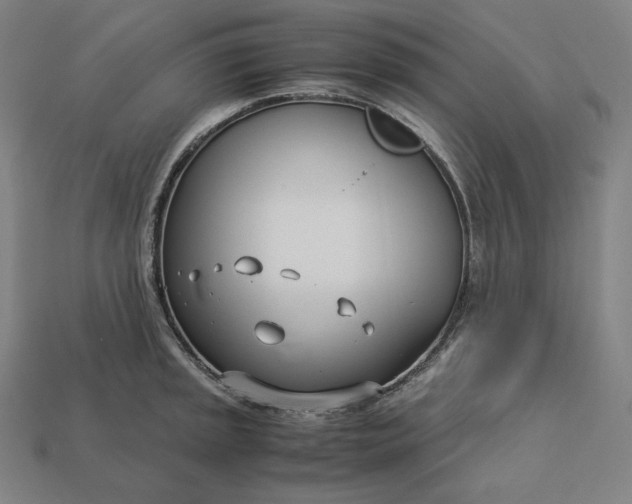 X0000113151045200909181746