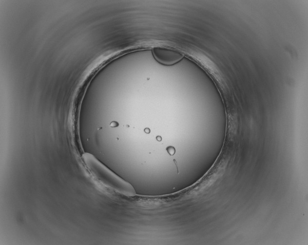 X0000113151046200909181746