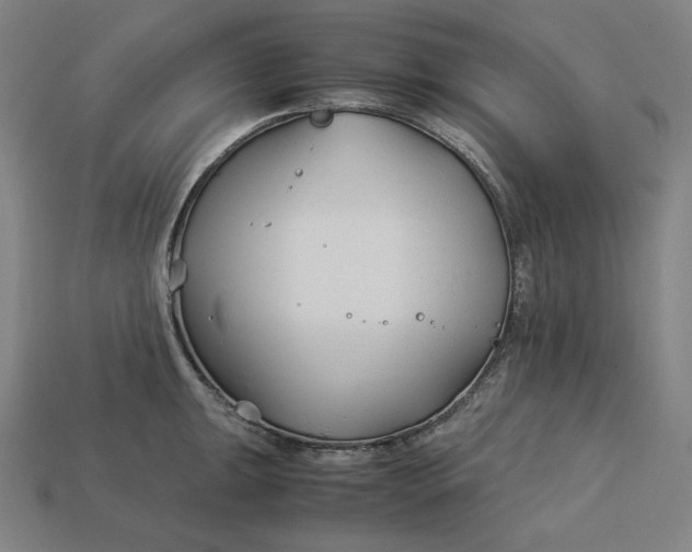 X0000113151047200909181746