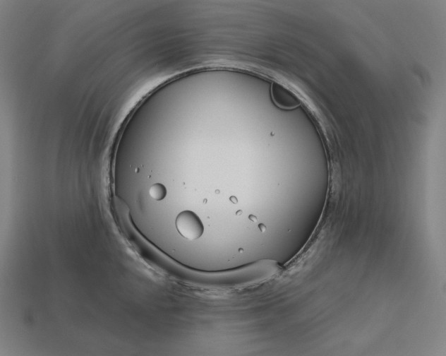 X0000113151048200909181746