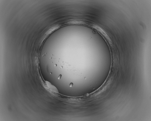 X0000113151049200909181746