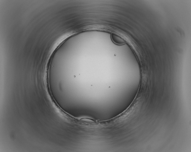 X0000113151050200909181746