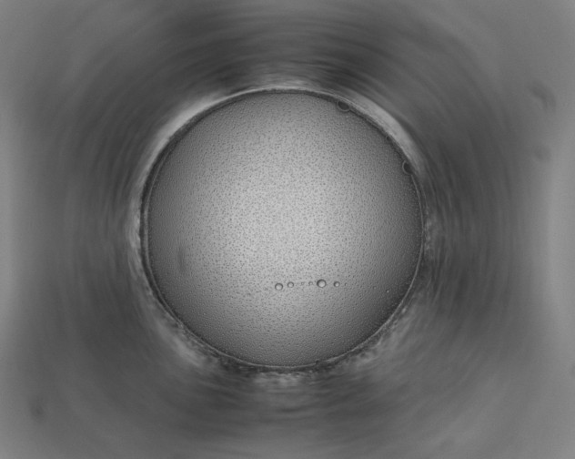 X0000113151051200909181746