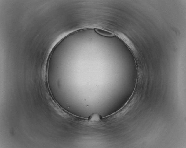 X0000113151052200909181746