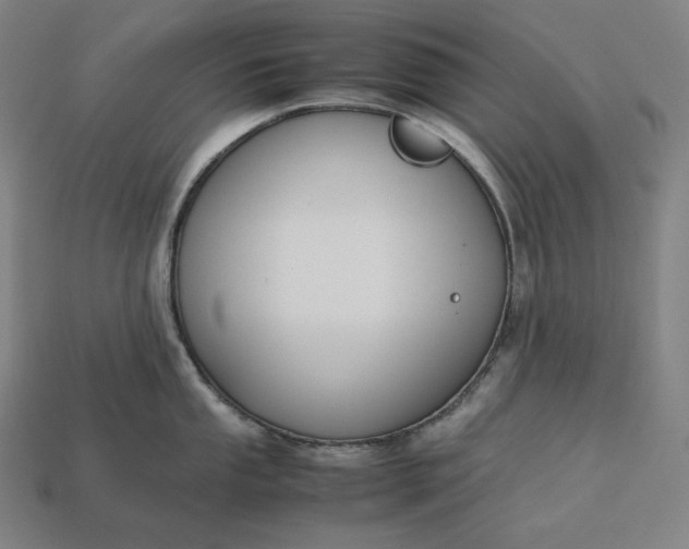 X0000113151053200909181746