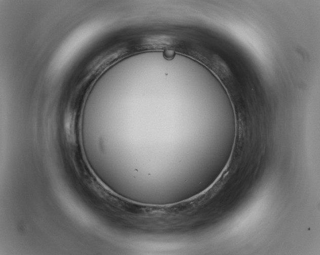 X0000113151054200909181746