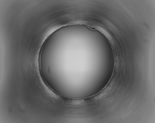 X0000113151055200909181746