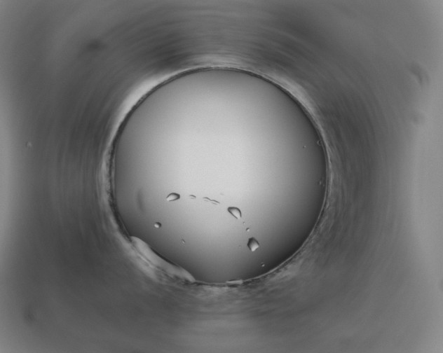 X0000113151056200909181746