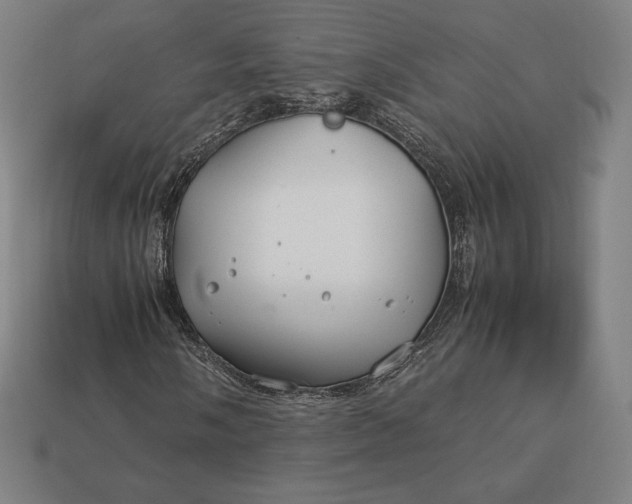 X0000113151058200909181746