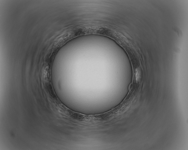 X0000113151059200909181746