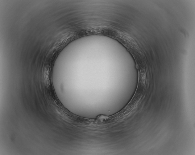 X0000113151060200909181746