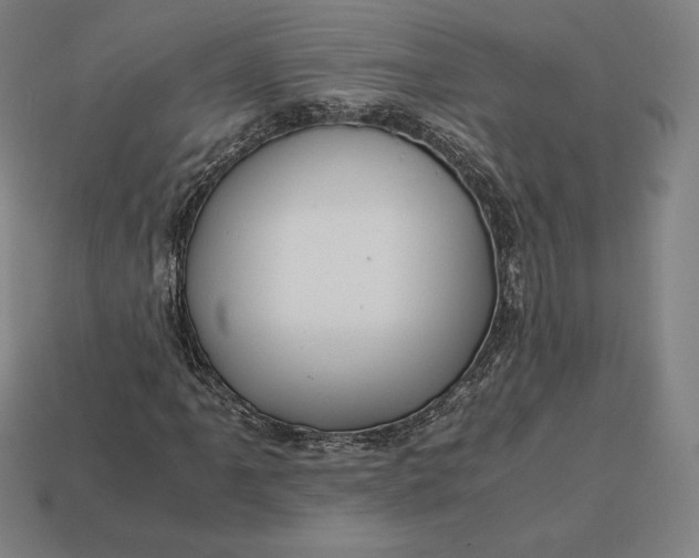 X0000113151061200909181746