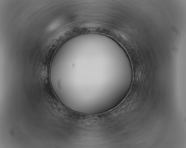 X0000113151062200909181746