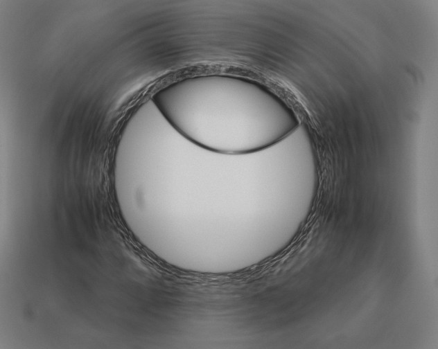 X0000113151064200909181746