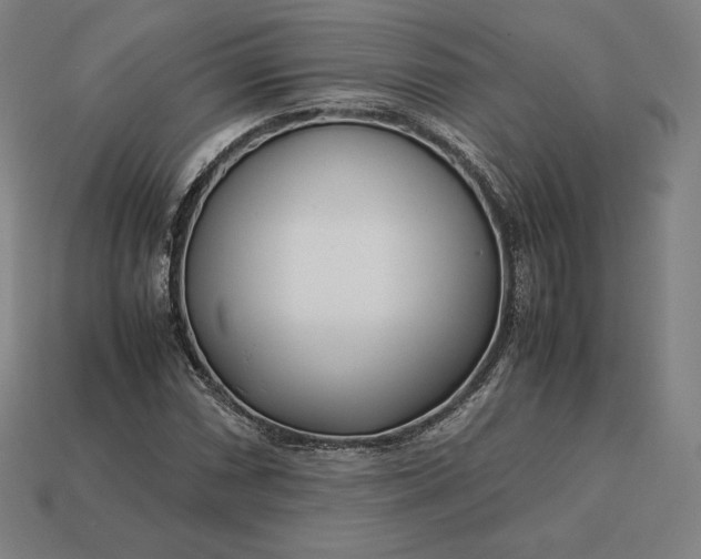 X0000113151066200909181746