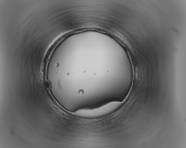 X0000113151068200909181746