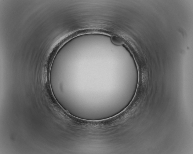 X0000113151069200909181746