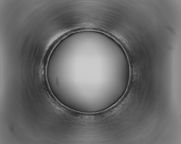 X0000113151070200909181746