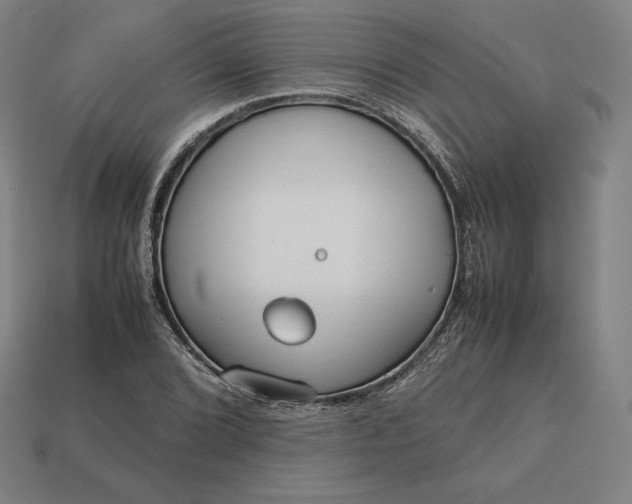 X0000113151072200909181746