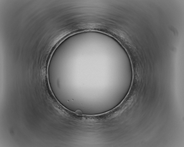 X0000113151073200909181746